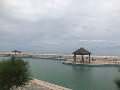 -日照海滨国家森林公园