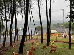 -重庆彩云湖湿地公园