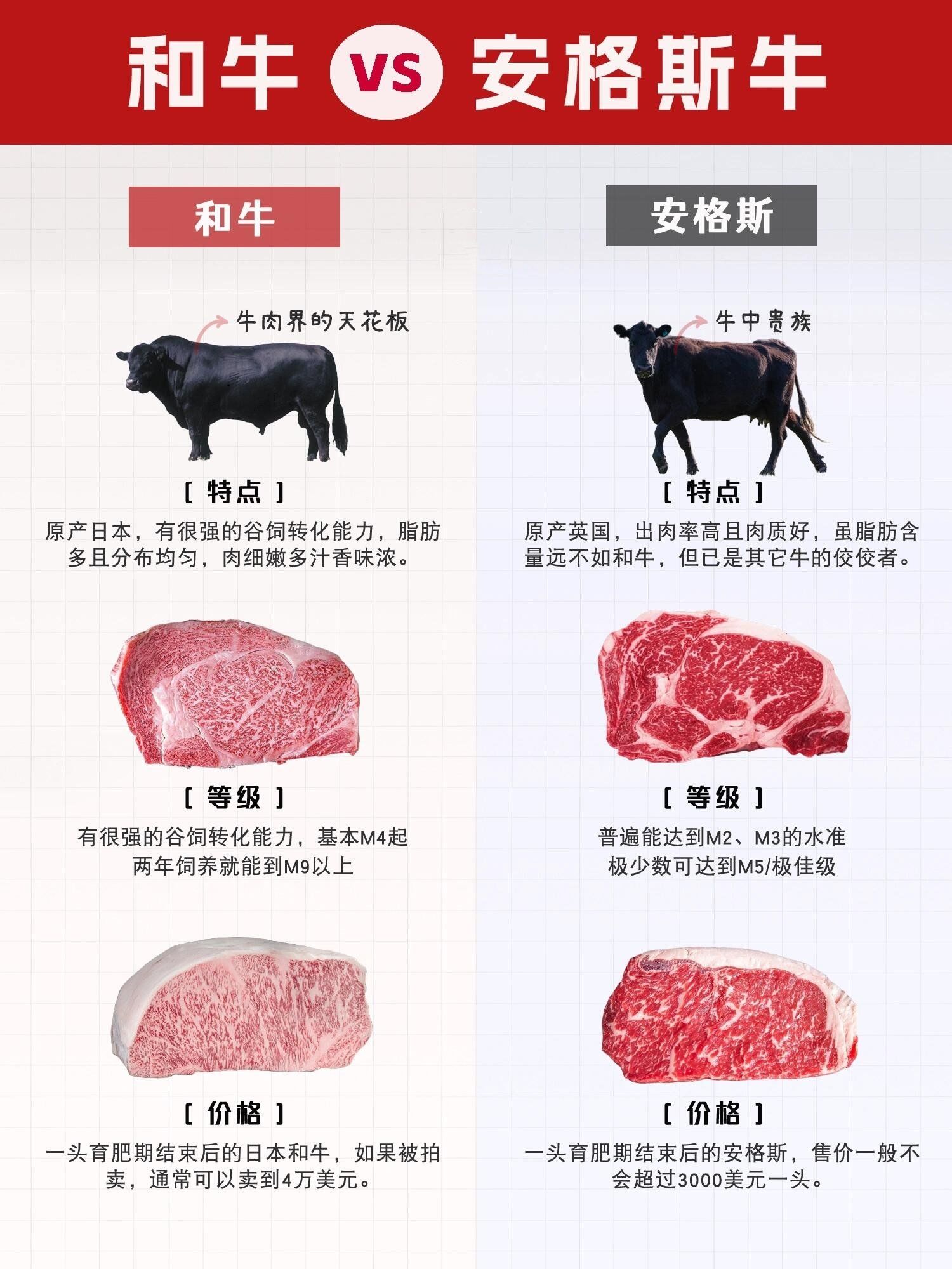 你吃和牛,还是安格斯牛?