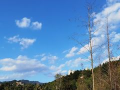 -牛岗山公园