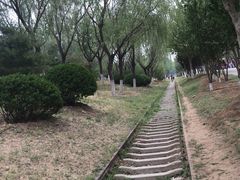 -永定河休闲森林公园