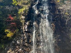 -龙道沟景区
