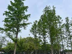 -蠡湖大桥公园