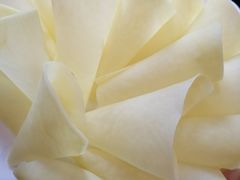 -红鼎坊·老成都火锅(新南门店)