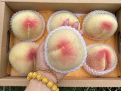 -老袁家蜜桃农场·阳山水蜜桃