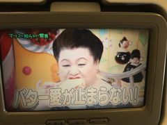 -全日本空输株式会社(上海办事处)