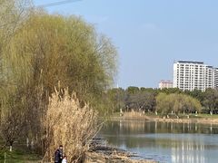 -九里河湿地公园