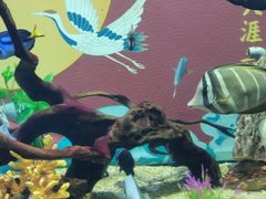 -烟台海昌鲸鲨海洋公园