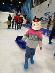 -Mr·Kuma酷么先生雪之乐园