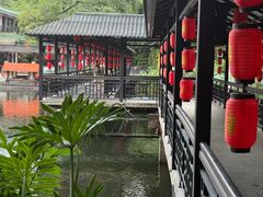 -侨美·唐荔园·40年地道粤菜