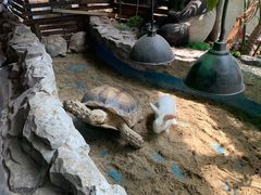 -绿色星球动物主题公园