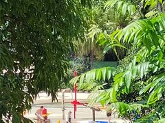 -重庆海昌加勒比海水世界