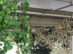 -水边(郯城店)