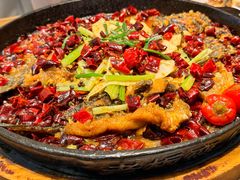 -老板恋上鱼(印象城店)