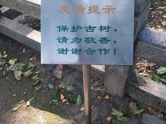 -上海方塔园