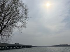 -丁香湖公园