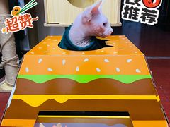 -麦当劳(欢乐谷店)