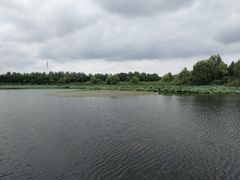 -溱湖国家湿地公园