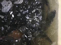 -岳砦海鲜农贸市场