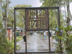 -瑞穗牧场