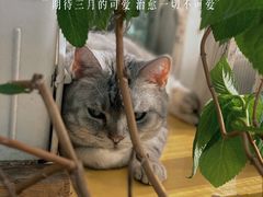-小时光咖啡馆(北锣鼓巷店)