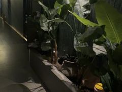 -涟LIAN·泰式按摩·MASSAGE·SPA(华强北店)