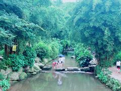 -重庆彩云湖湿地公园