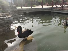 -河北省园博园
