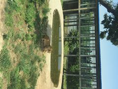 秦岭野生动物园-西安秦岭野生动物园