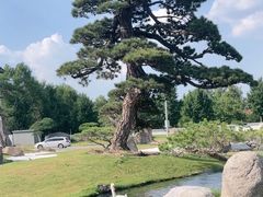 -罗红摄影艺术馆