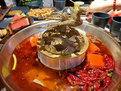 -火鳳祥鲜货火锅(宝龙广场店)