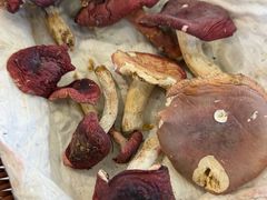 -草墩罗非鱼庄•野生菌•腊排骨(七星街上段店)