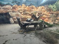 -石家庄市动物园