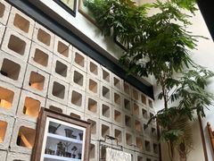 -自由生长植物工作室(深港花卉中心店)