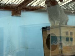 -青藏高原野生动物园