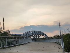 -同里国家湿地公园
