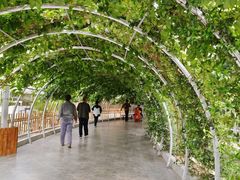 -兴芮温泉度假区