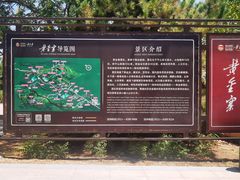 -黄金寨原生态旅游区