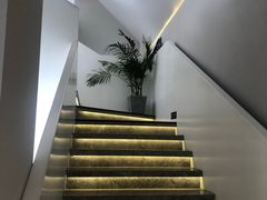 -青梅酒肆PLUS(长白仙岛北路店)