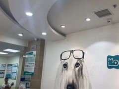 -美联众合动物医院·24h转诊中心