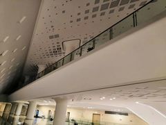 -南京国际青年文化中心
