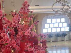 -合肥美奥口腔·种植矫正中心(政务院)