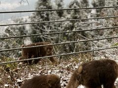 -太阳湾风景区