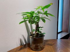 -粗茶淡饭·隐庐私厨(东亭店)
