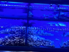 -索菲特酒店 · 云尚天际自助餐厅
