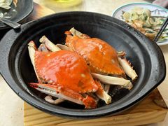 -海市焗·现焗海鲜·老广风味(上海首店)