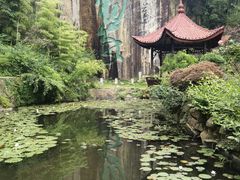 -莫干山风景区