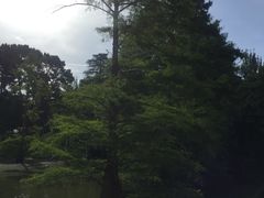 -丽池公园