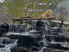 -北京野生动物园