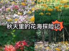 -杭州植物园